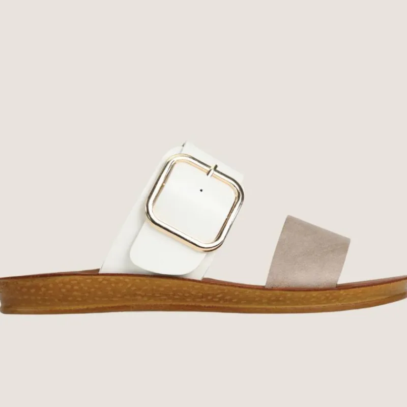 Doti Slide | Los Cabos Clearance